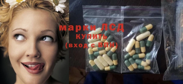 стаф Ладушкин
