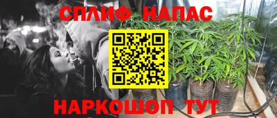 прущий лед Гай