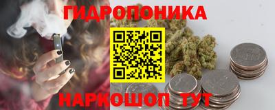 стафф Гагарин